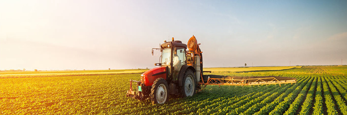 Tractor in a field